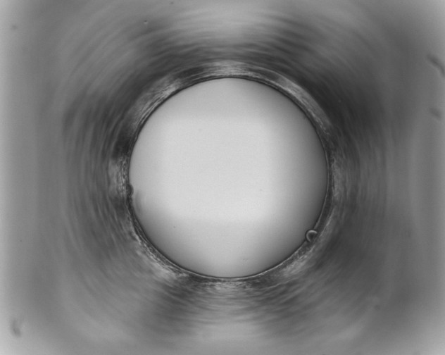 X0000100870857200807071101