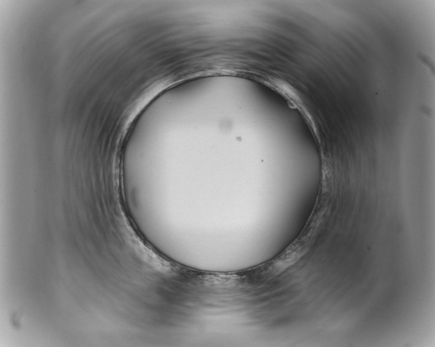 X0000100870859200807071101