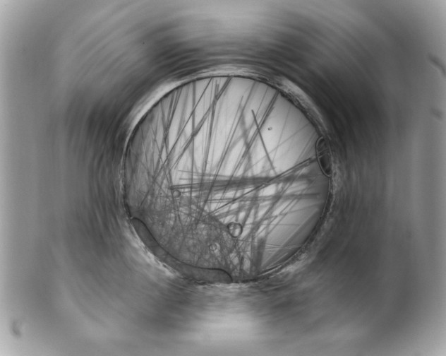 X0000100870860200807071101