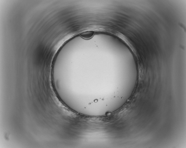 X0000100870861200807071101