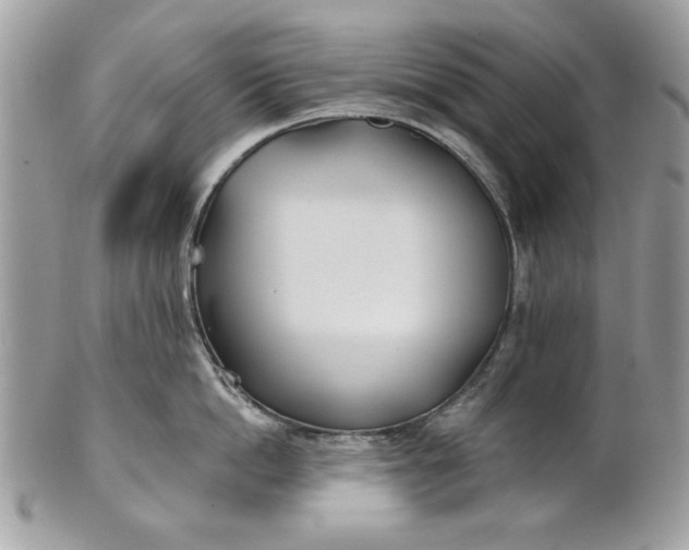 X0000100870862200807071101