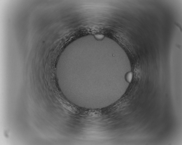 X0000100870865200807071100