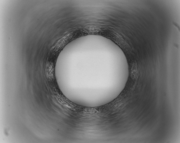 X0000100870866200807071100