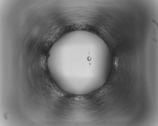 X0000100870867200807071100