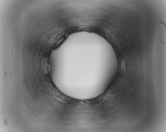 X0000100870868200807071100