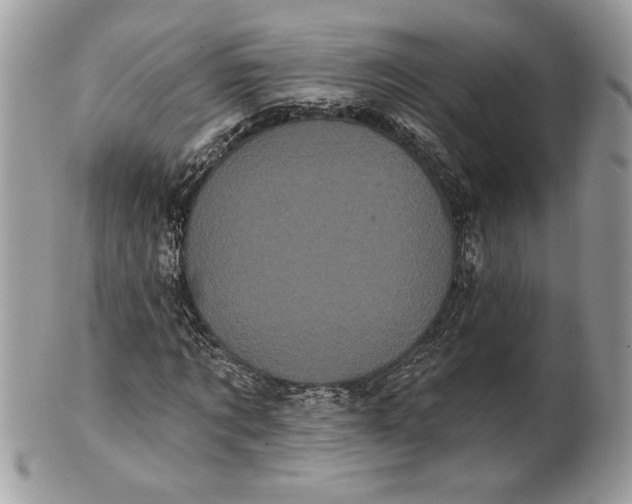 X0000100870869200807071100