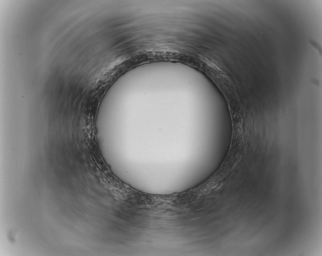 X0000100870870200807071100