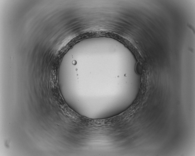 X0000100870871200807071100