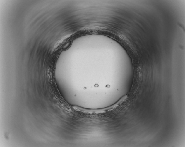 X0000100870872200807071100