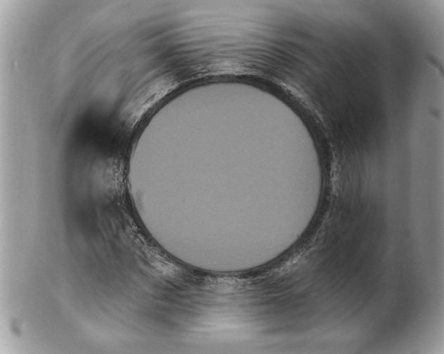 X0000100870873200807071100