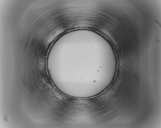 X0000100870874200807071100