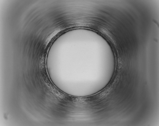 X0000100870875200807071100