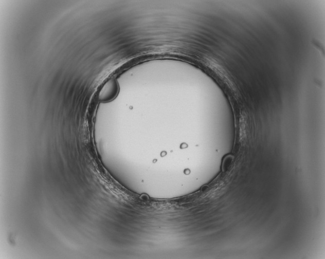 X0000100870876200807071100