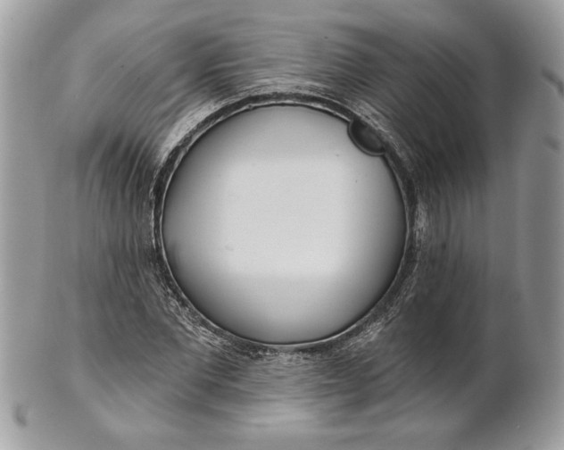 X0000100870877200807071100