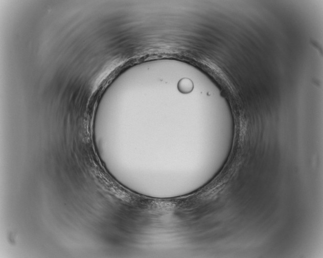 X0000100870878200807071100