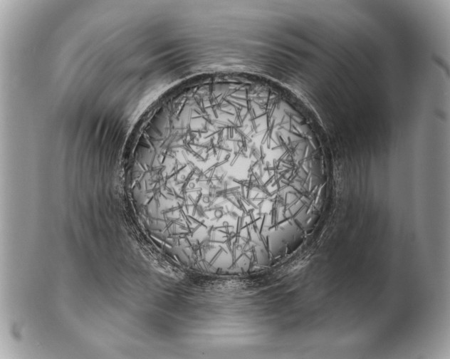 X0000100870879200807071100