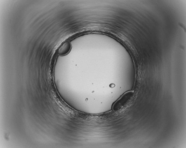 X0000100870880200807071100