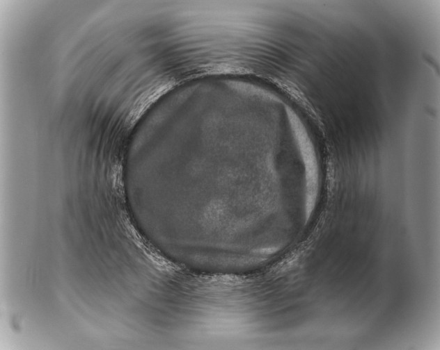 X0000100870881200807071100