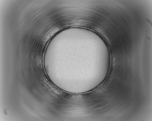 X0000100870882200807071100