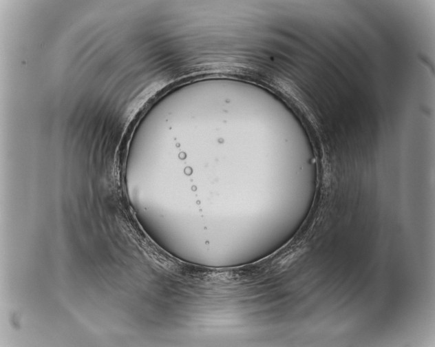 X0000100870883200807071100