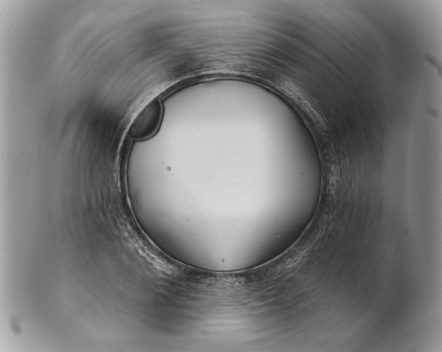 X0000100870884200807071100