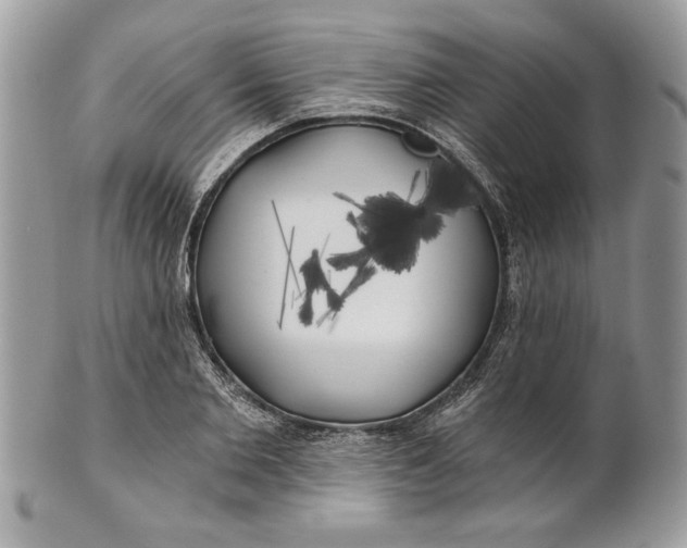 X0000100870885200807071100