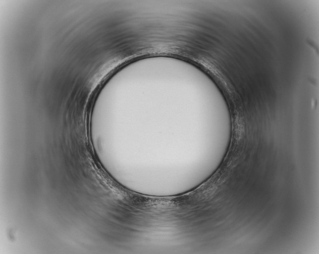 X0000100870886200807071100