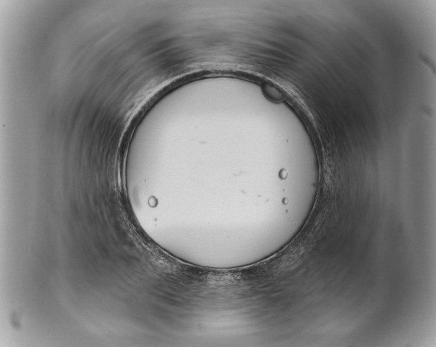 X0000100870887200807071100