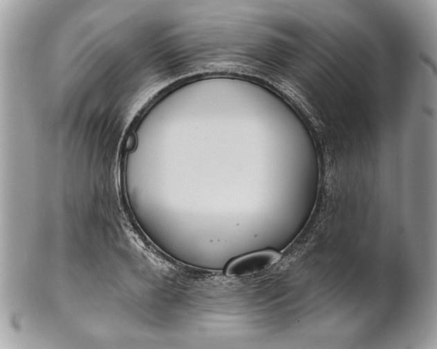 X0000100870888200807071100