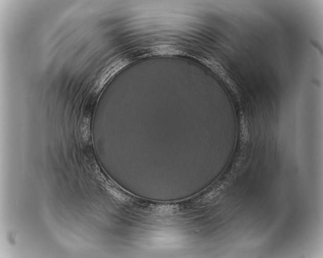 X0000100870889200807071100