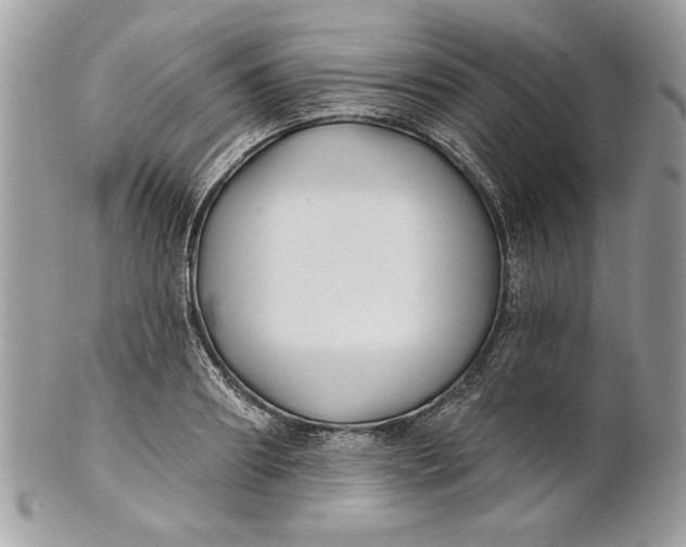 X0000100870890200807071100