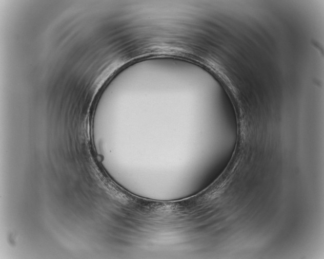 X0000100870891200807071100