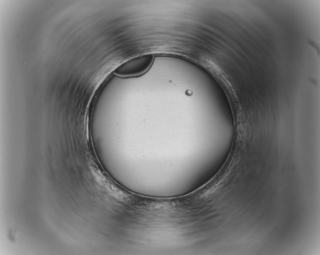 X0000100870892200807071100