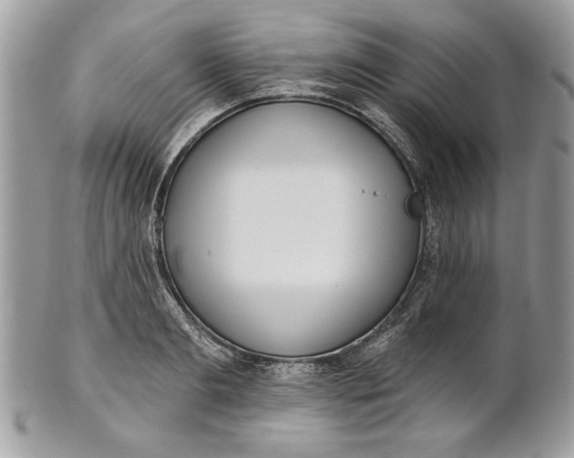 X0000100870893200807071100