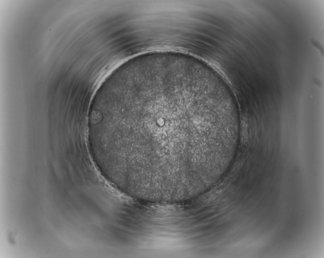 X0000100870895200807071100