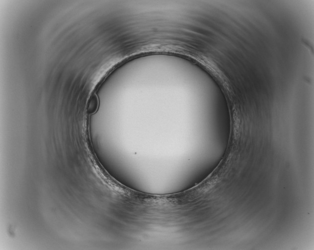 X0000100870896200807071100