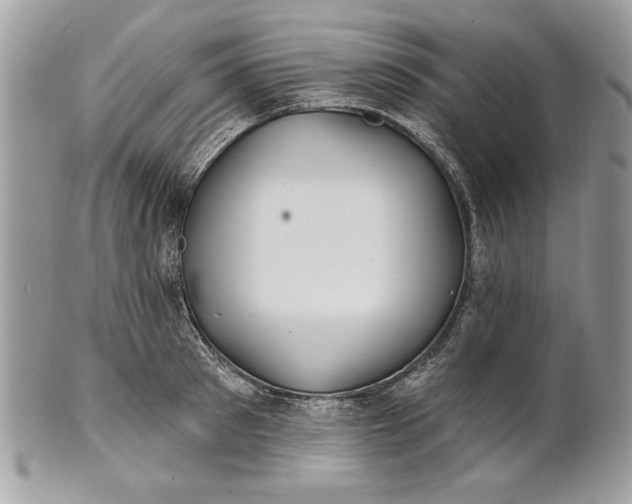 X0000100870897200807071100