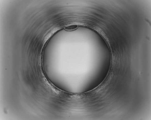 X0000100870898200807071100