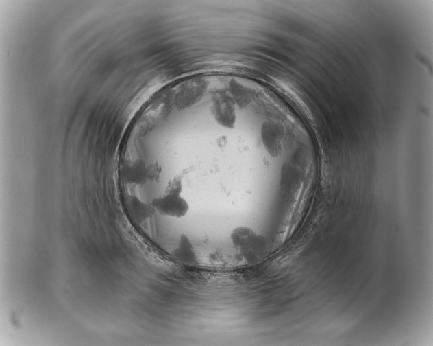 X0000100870899200807071100