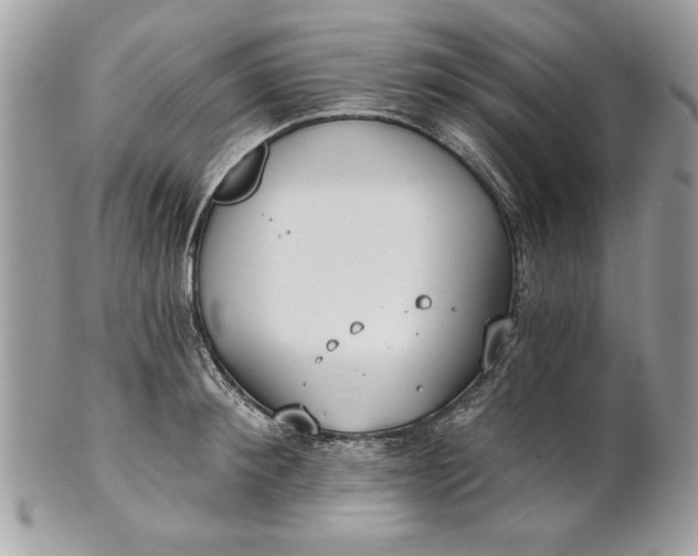 X0000100870900200807071100