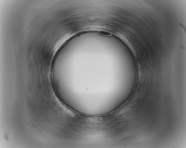 X0000100870901200807071100