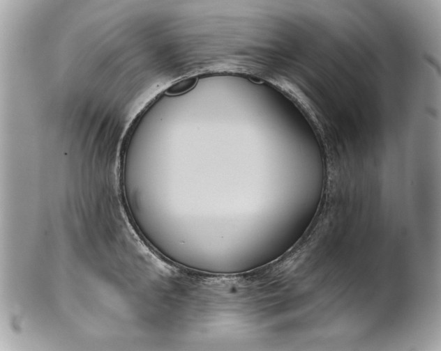 X0000100870902200807071100