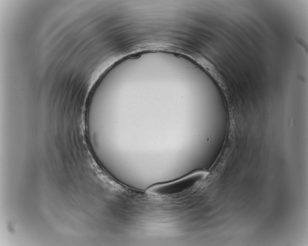 X0000100870904200807071100