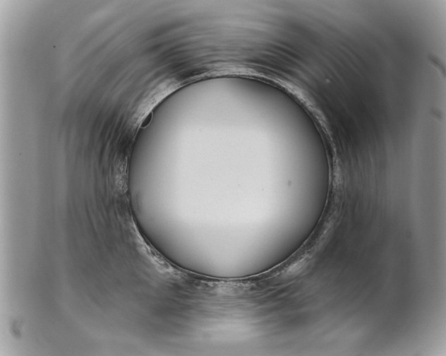 X0000100870905200807071100