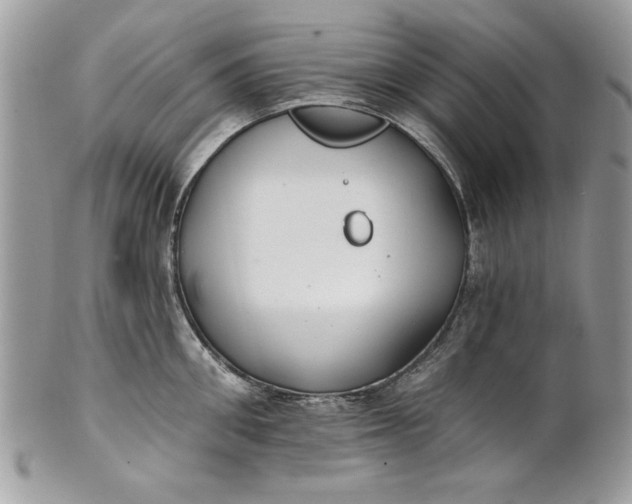 X0000100870906200807071100