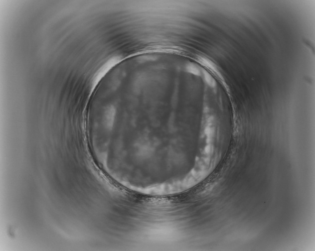 X0000100870907200807071100