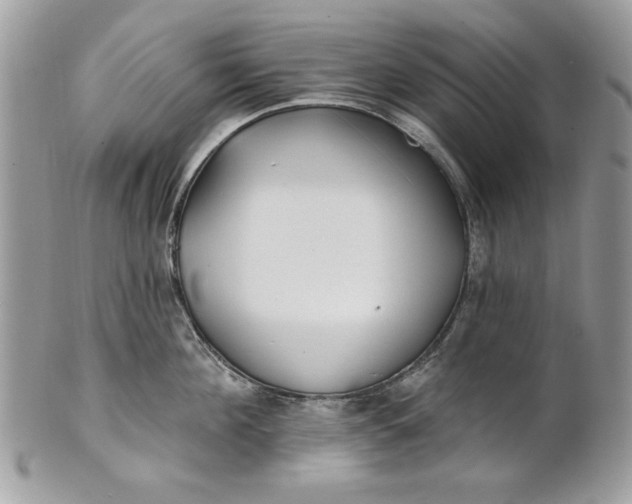 X0000100870908200807071100