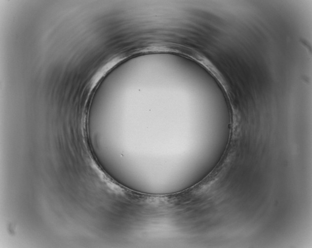 X0000100870909200807071100