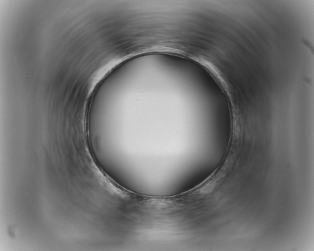 X0000100870910200807071100