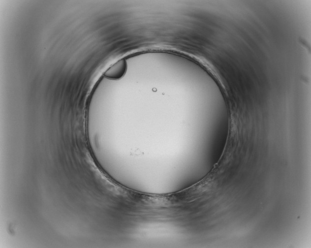 X0000100870911200807071059